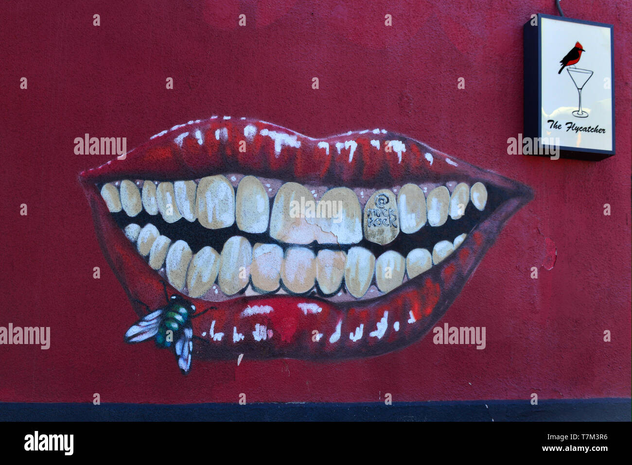 A big red lipsticked  mouth with a fly on the bottom lip mural on The exterior wall of the Flycatcher  bar and music venue on 6th Street in Tucson, AZ Stock Photo