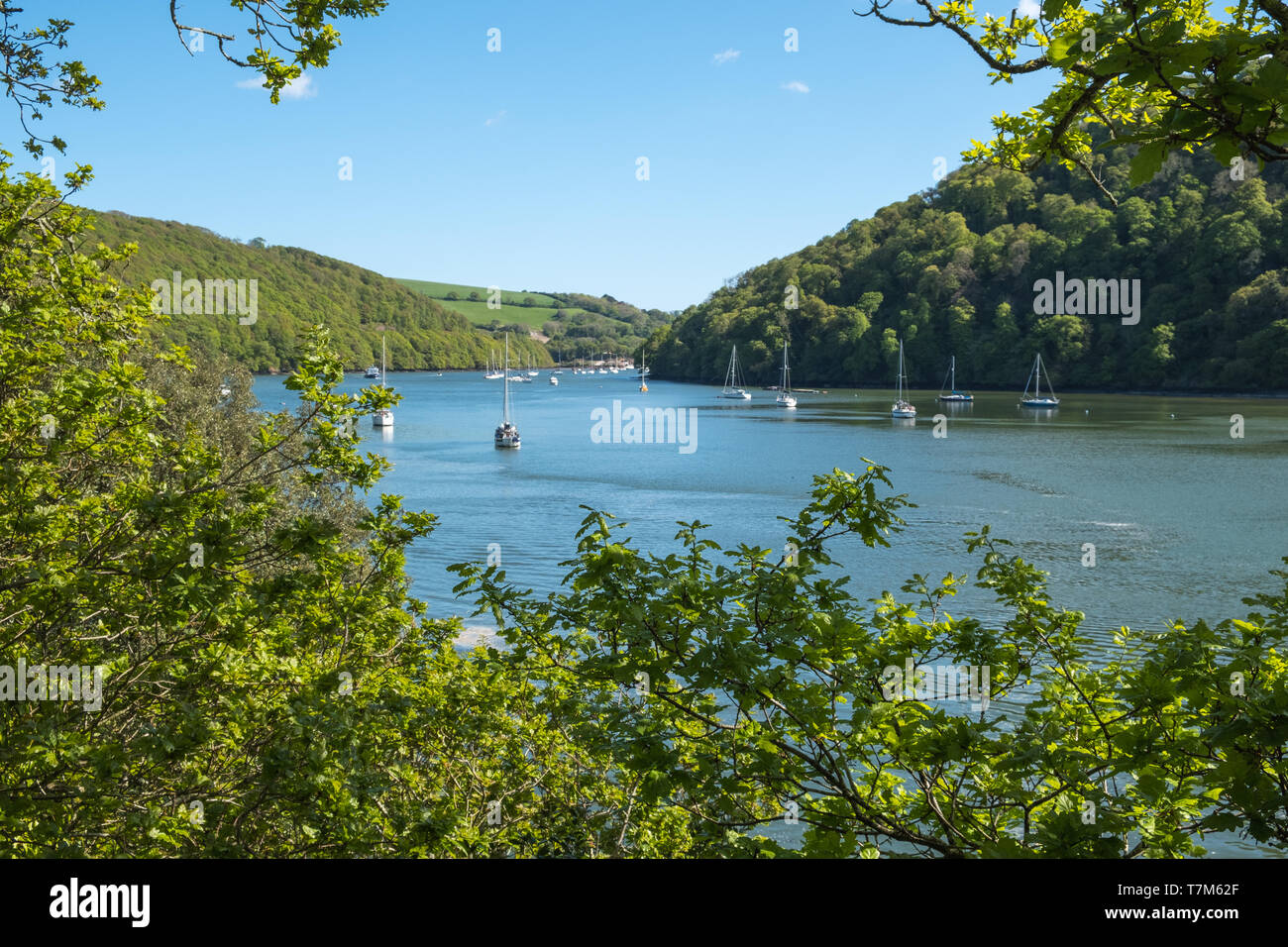 View along the River Dart from Galmpton towards Dartmouth in Devon, UK