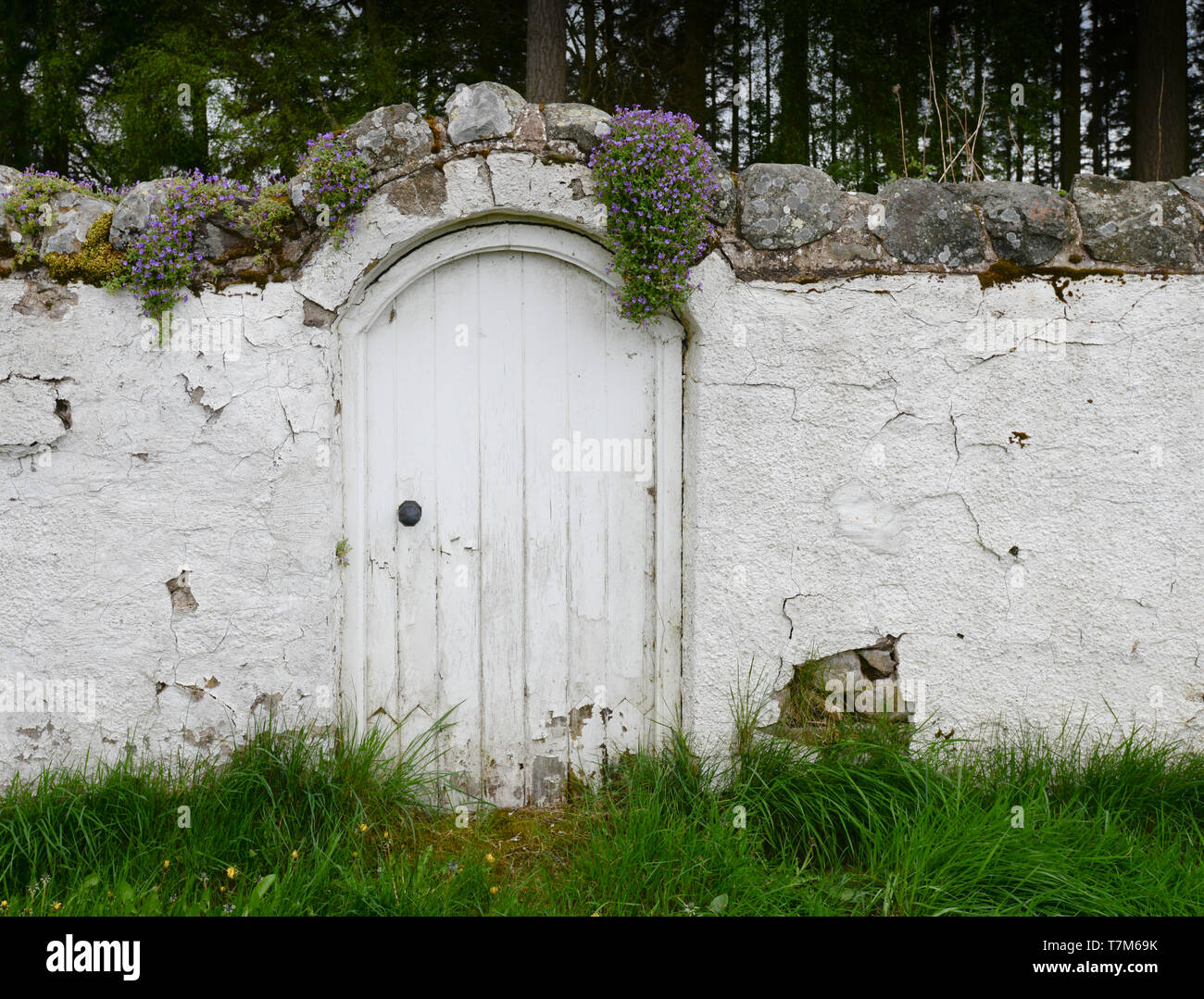 Arched white painted door with woods behind Stock Photo