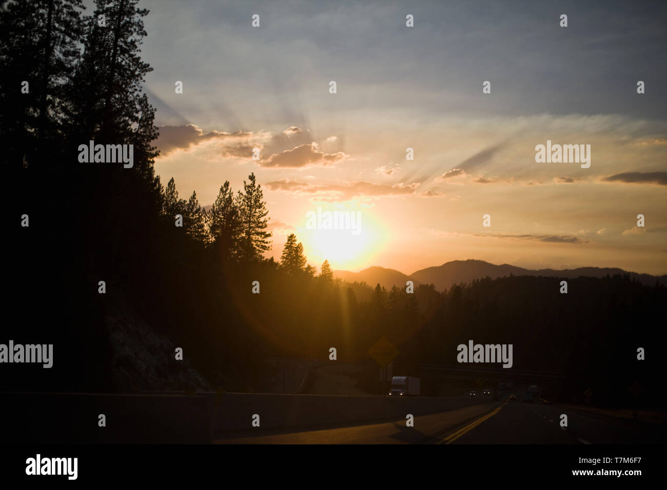 Trees by motorway hi-res stock photography and images - Alamy
