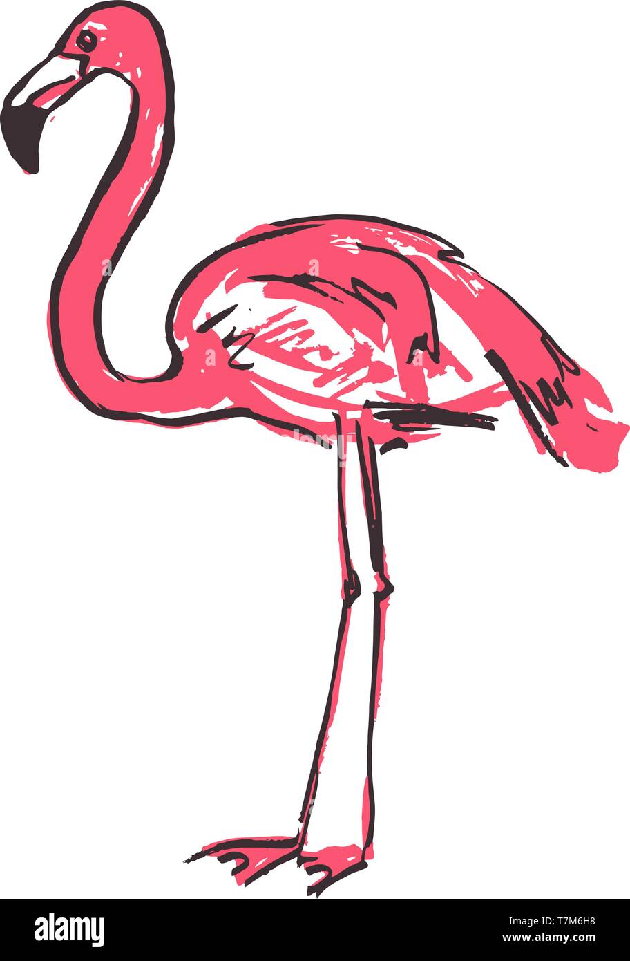 Flamingo sketch vector illustration color sketch flamingo, exotic bird.  10508454 Vector Art at Vecteezy