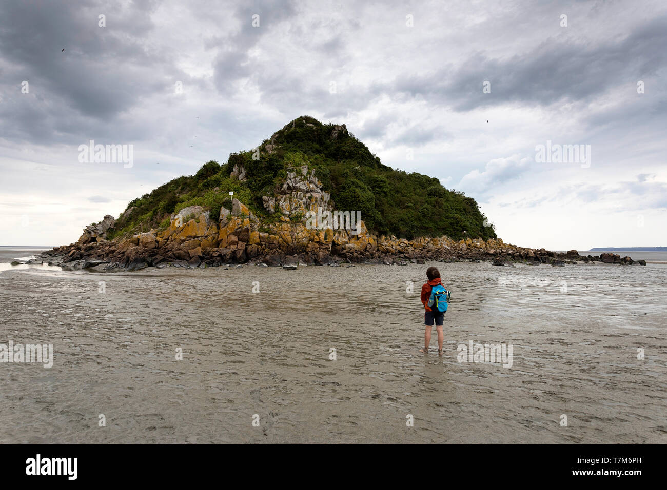 Young boy walking barefoot  on sand at low tide to the island Tombelaine in the bay of Mont saint Michel, Normandy, France Stock Photo