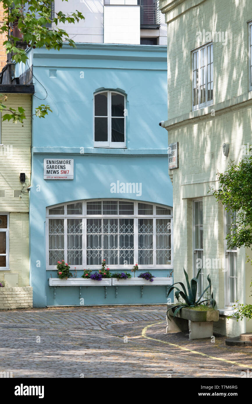 Painted blue house. Ennismore Gardens Mews, South Kensington, City of Westminster, London. England Stock Photo