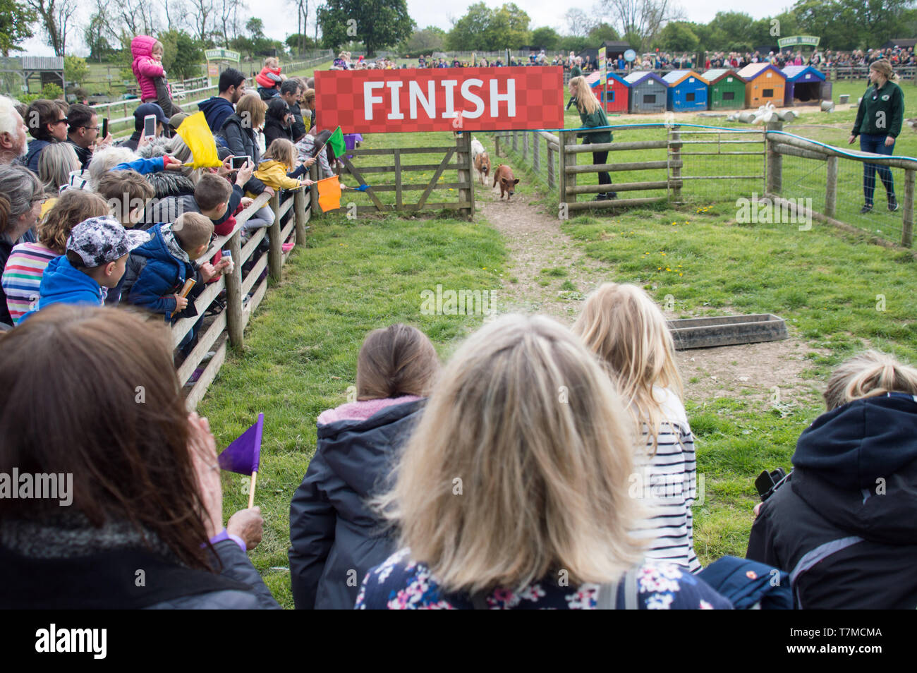 Viewers near finish line Stock Photo Alamy