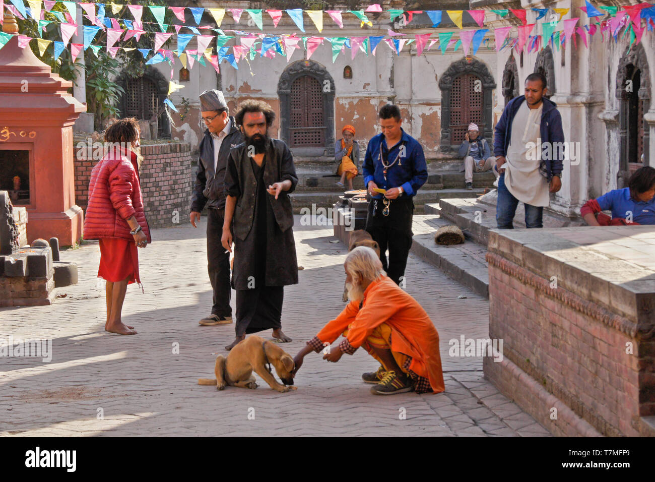 A Hindu holy man (sadhu) feeds a dog in the courtyard of a temple at
