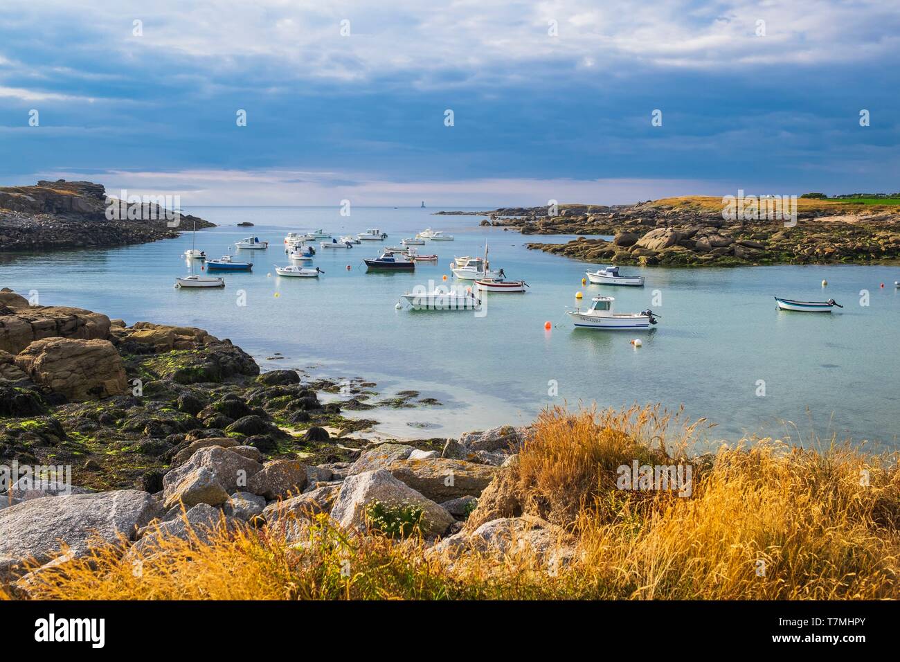 France, Finistere, Iroise Sea, Porspoder, surroundings of Melon island