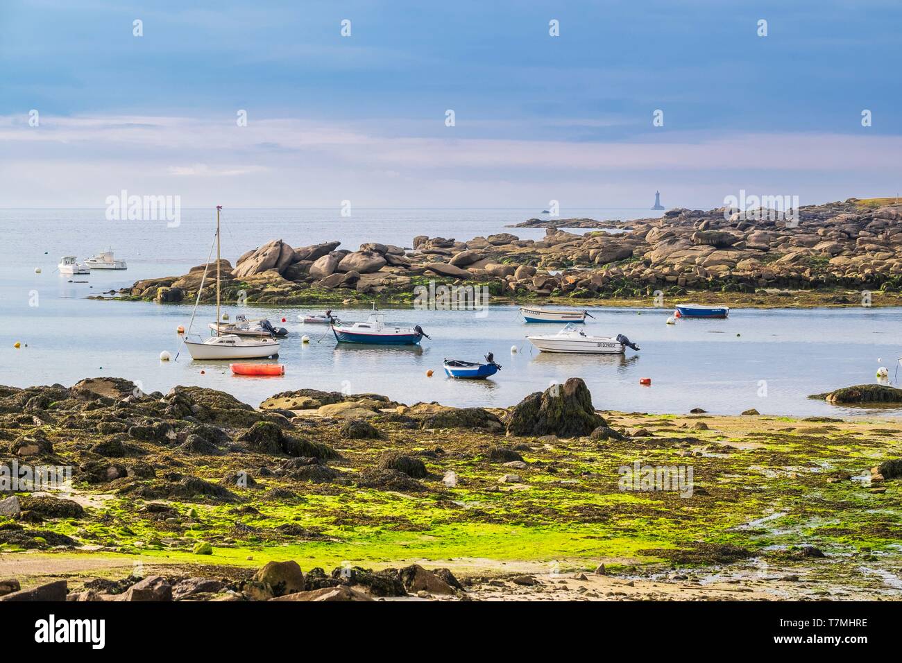 France, Finistere, Iroise Sea, Porspoder, surroundings of Melon island