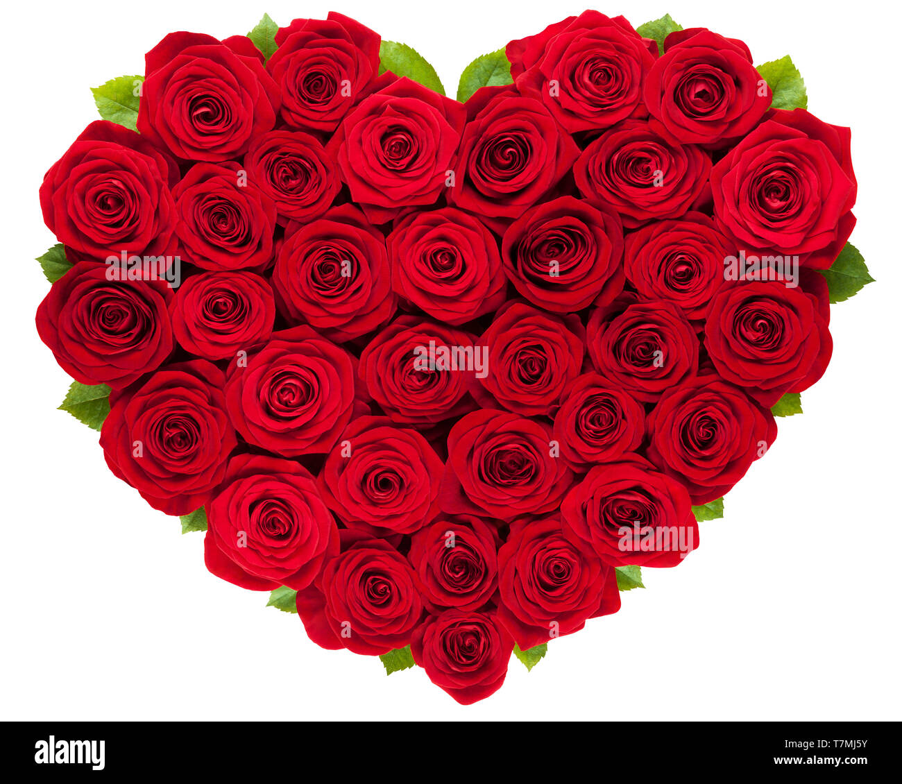 Love Red roses heart isolated on white background Stock Photo