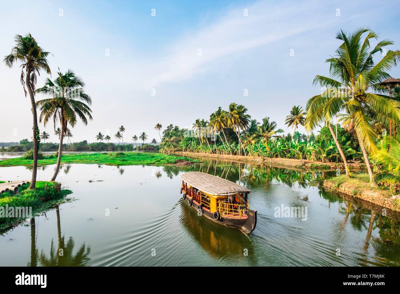India, state of Kerala, Kumarakom, village set in the backdrop of the Vembanad Lake, backwaters (lagoons and channels networks) sightseeing by kettuvallam (traditional boat) Stock Photo