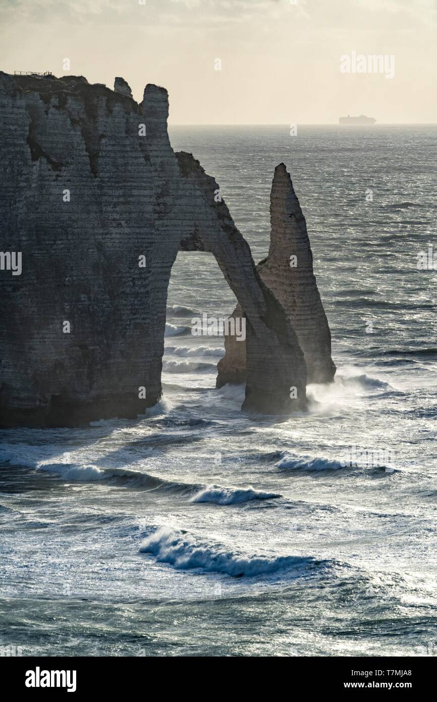 Sea needle hi-res stock photography and images - Alamy