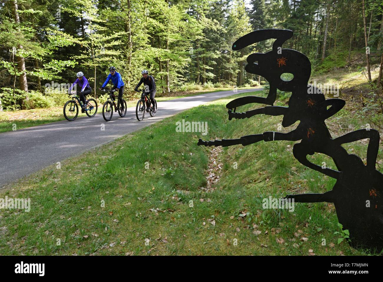 France Vosges Bruyeres Trail Of The Montagne Des Fourmis