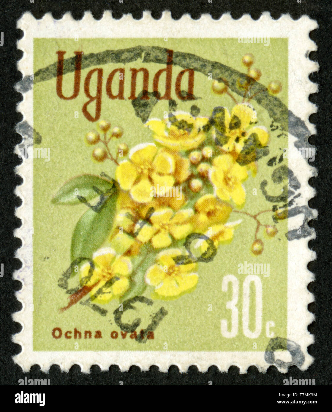 Stamp print in Uganda,flowers Stock Photo