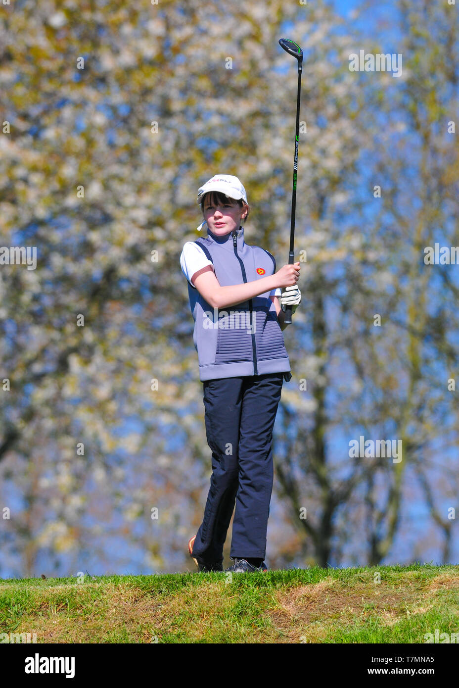 Young girl playing golf swinging a golf club Stock Photo - Alamy