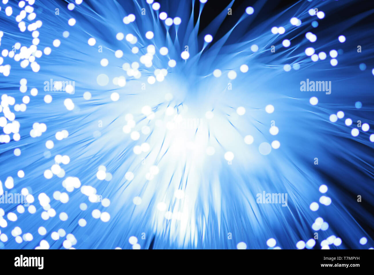 Fibre mesh hi-res stock photography and images - Alamy