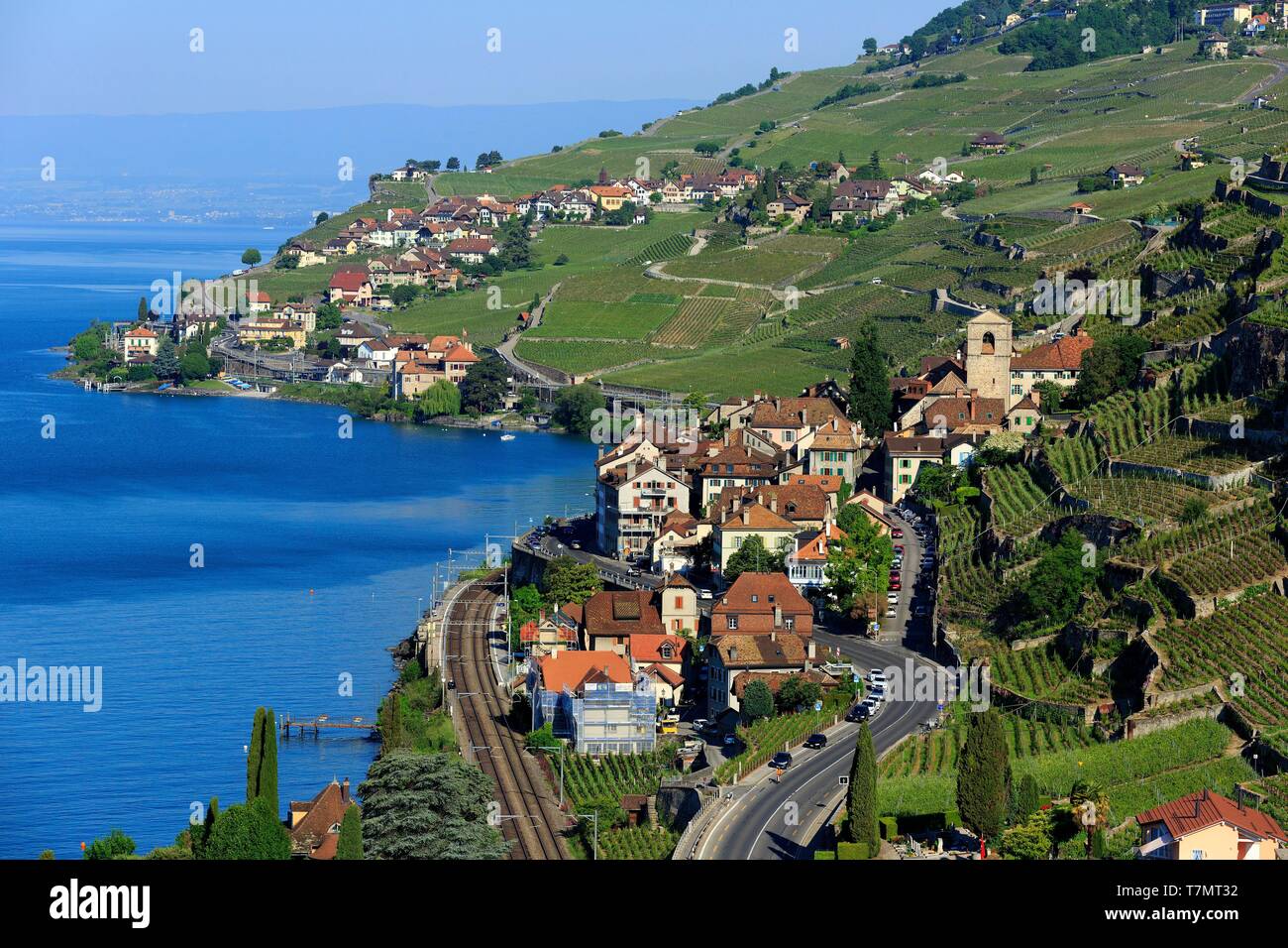 Switzerland, Vaud canton, Lake Geneva, Lavaux Oron District, Lavaux, terraced vineyards, UNESCO World Heritage Site, Saint Saphorin (aerial view) Stock Photo