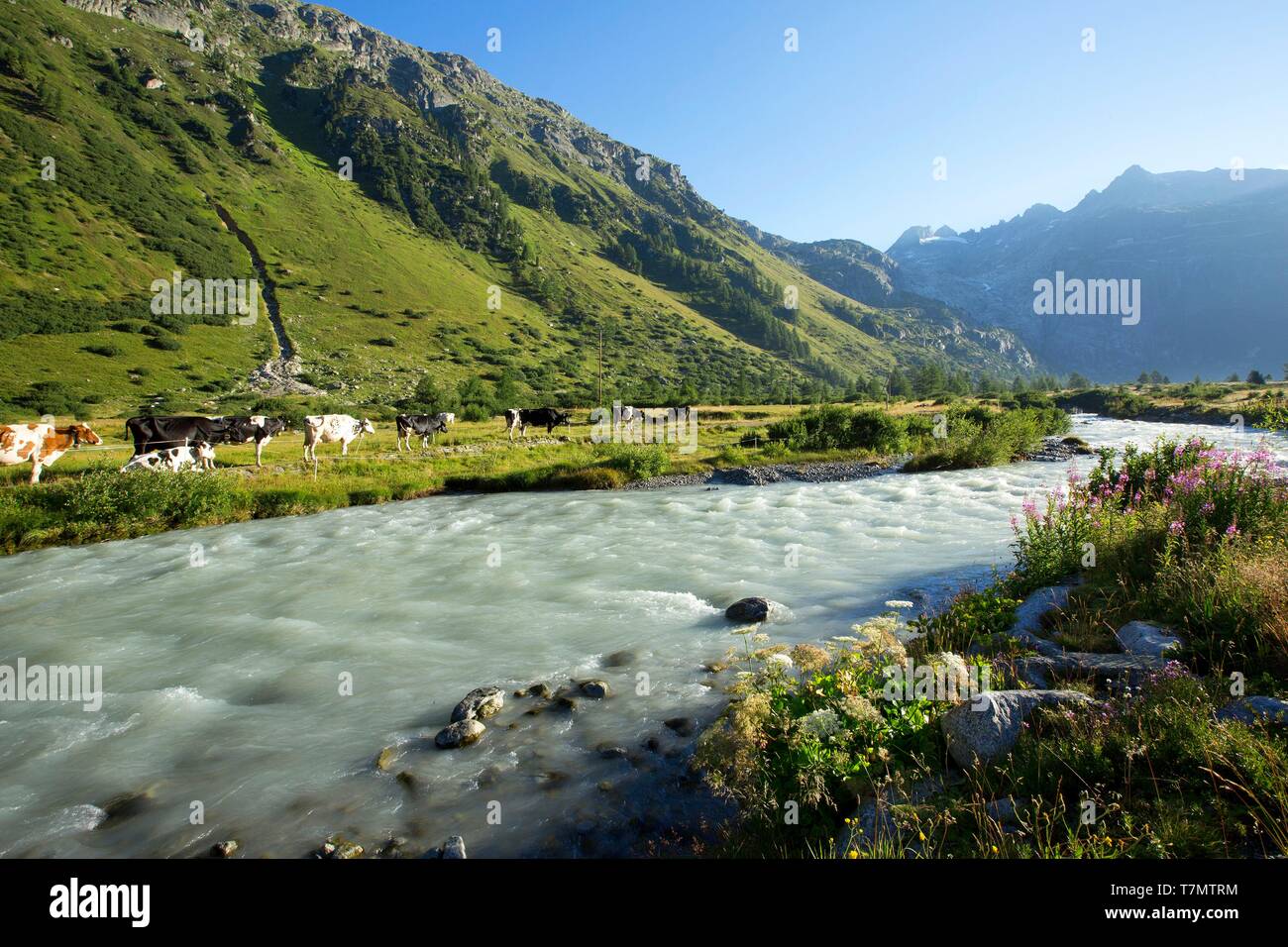gletsch suisse bank