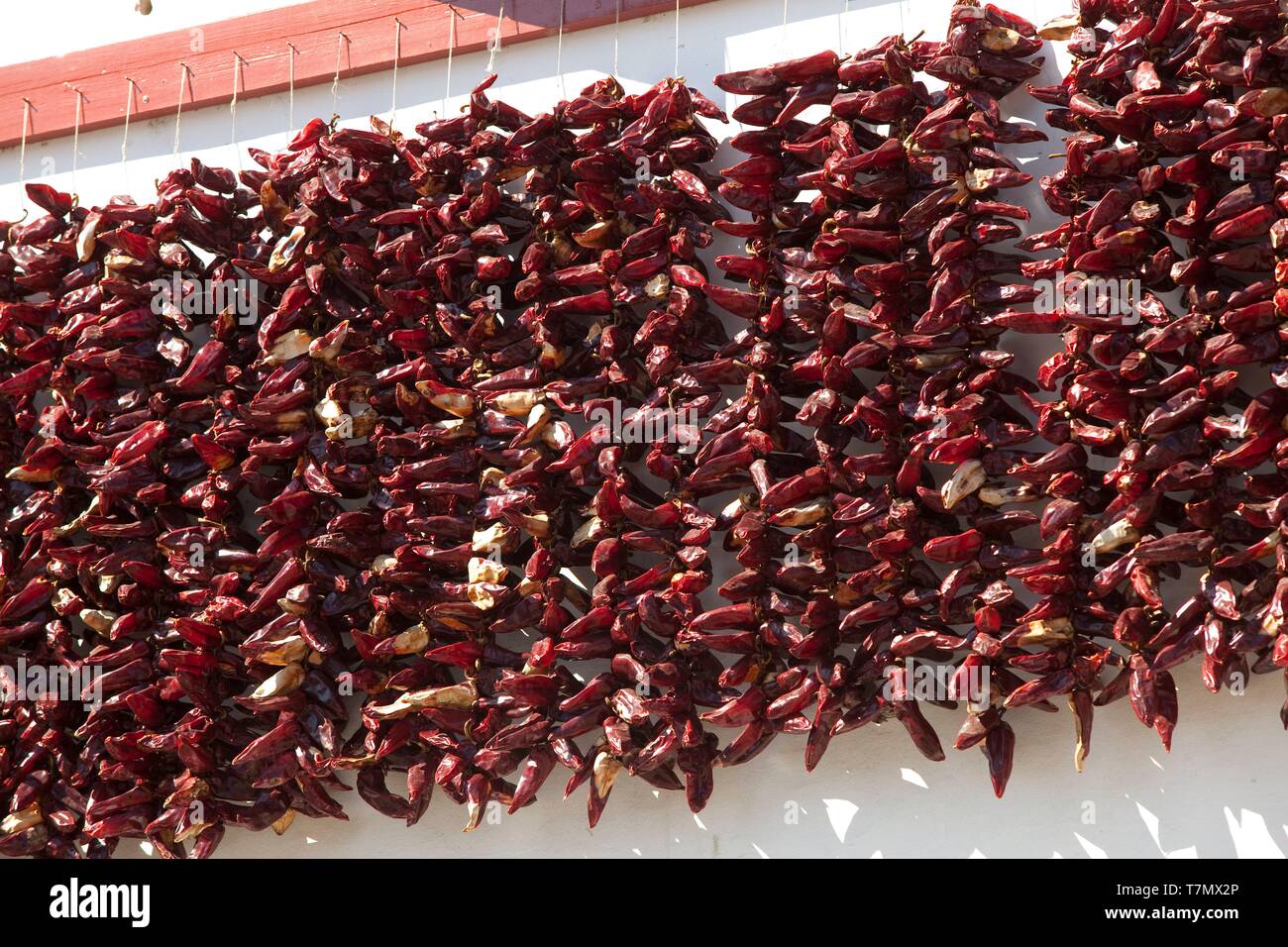 France, Pyrenees Atlantique, Bask Country, Espelette, Espelette pepper drying on a facade Stock Photo