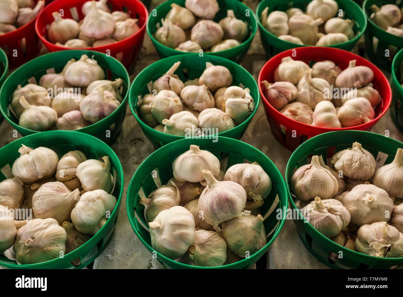 Canada, Quebec, Montreal, Little Italy, Marche Jean Talon market, autumn, cloves of garlic Stock Photo