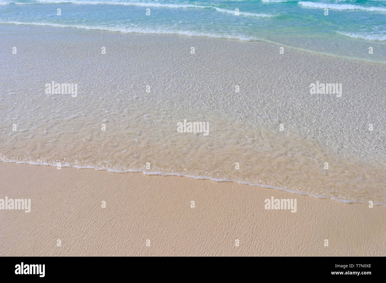 Seashore on tropical paradise beach Stock Photo