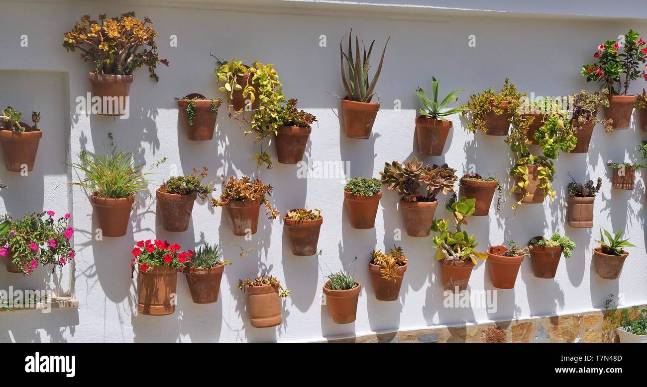 Flower pots on a wall in Menorca, Spain Stock Photo