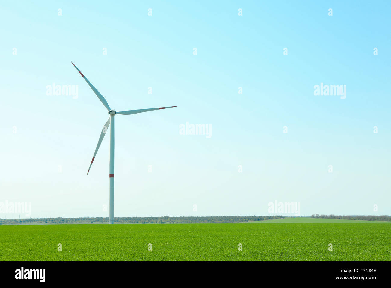 Wind turbine in a green grass field, space for text. Beautiful spring ...