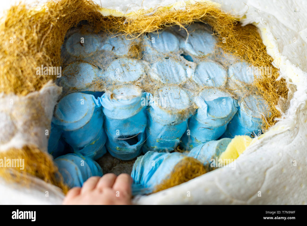 Bed filler and springs in old bed mattress with soft coconut filler. Bed or couch repair and