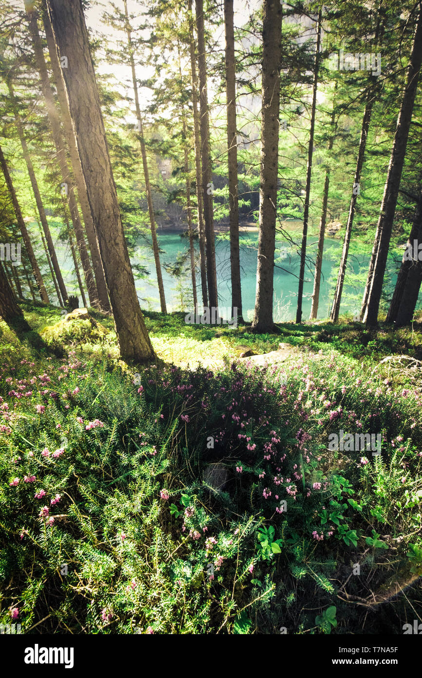 Beautiful lake azure water hi-res stock photography and images - Alamy