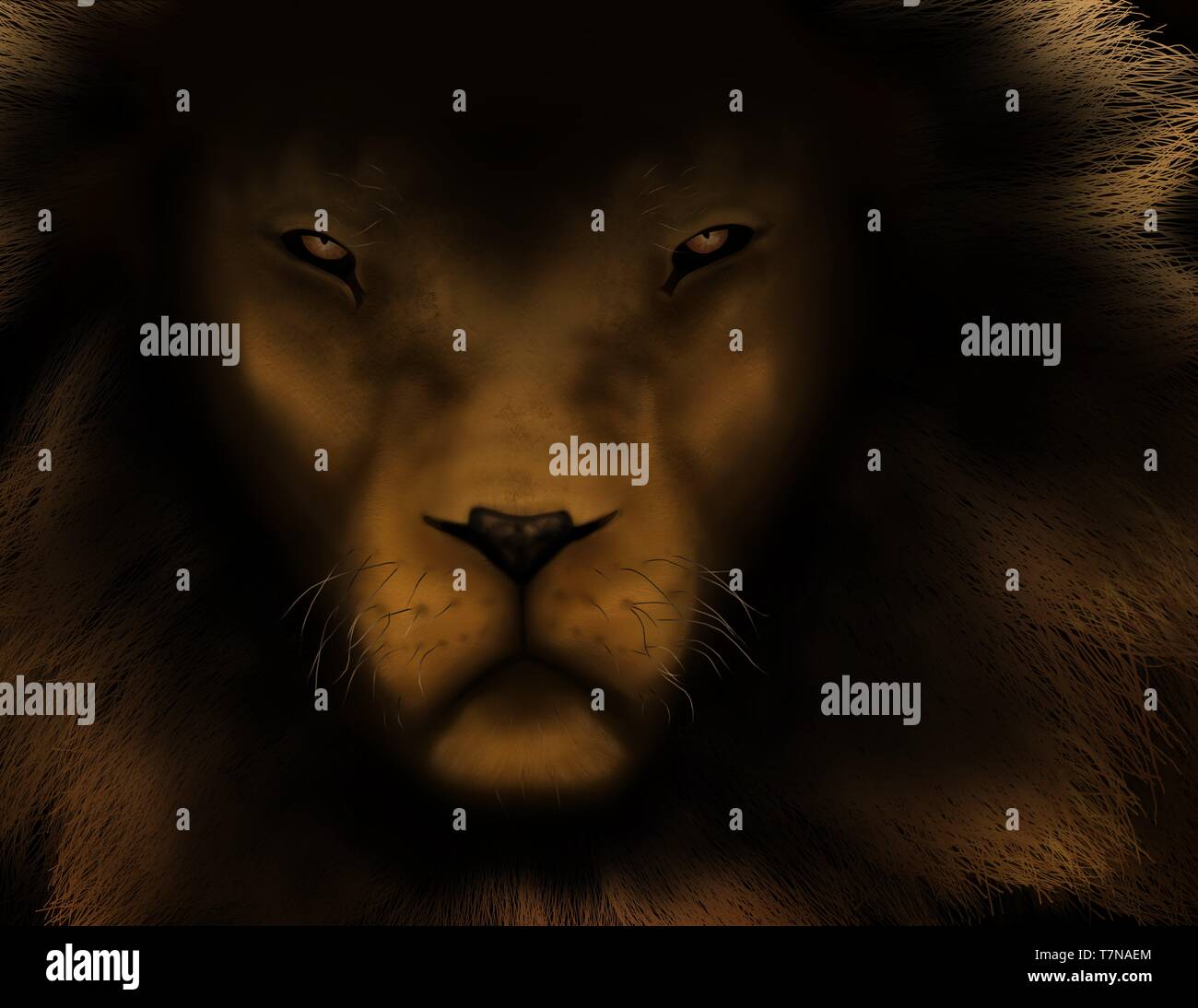 My Image 28