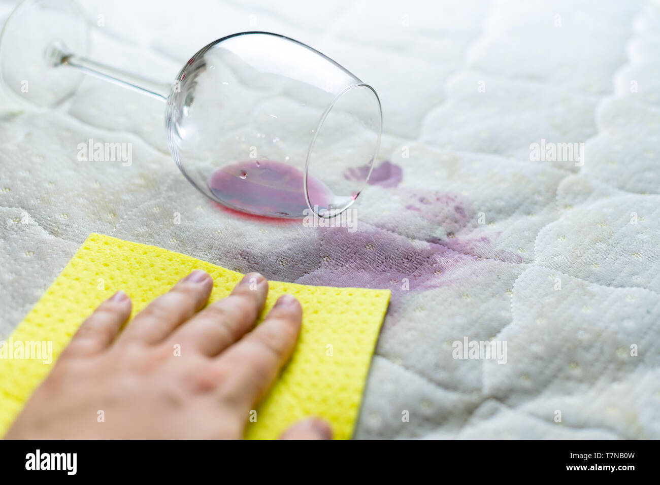 Sponge Cleaning Wine Stain Dropped Wineglass Spilled Wine On
