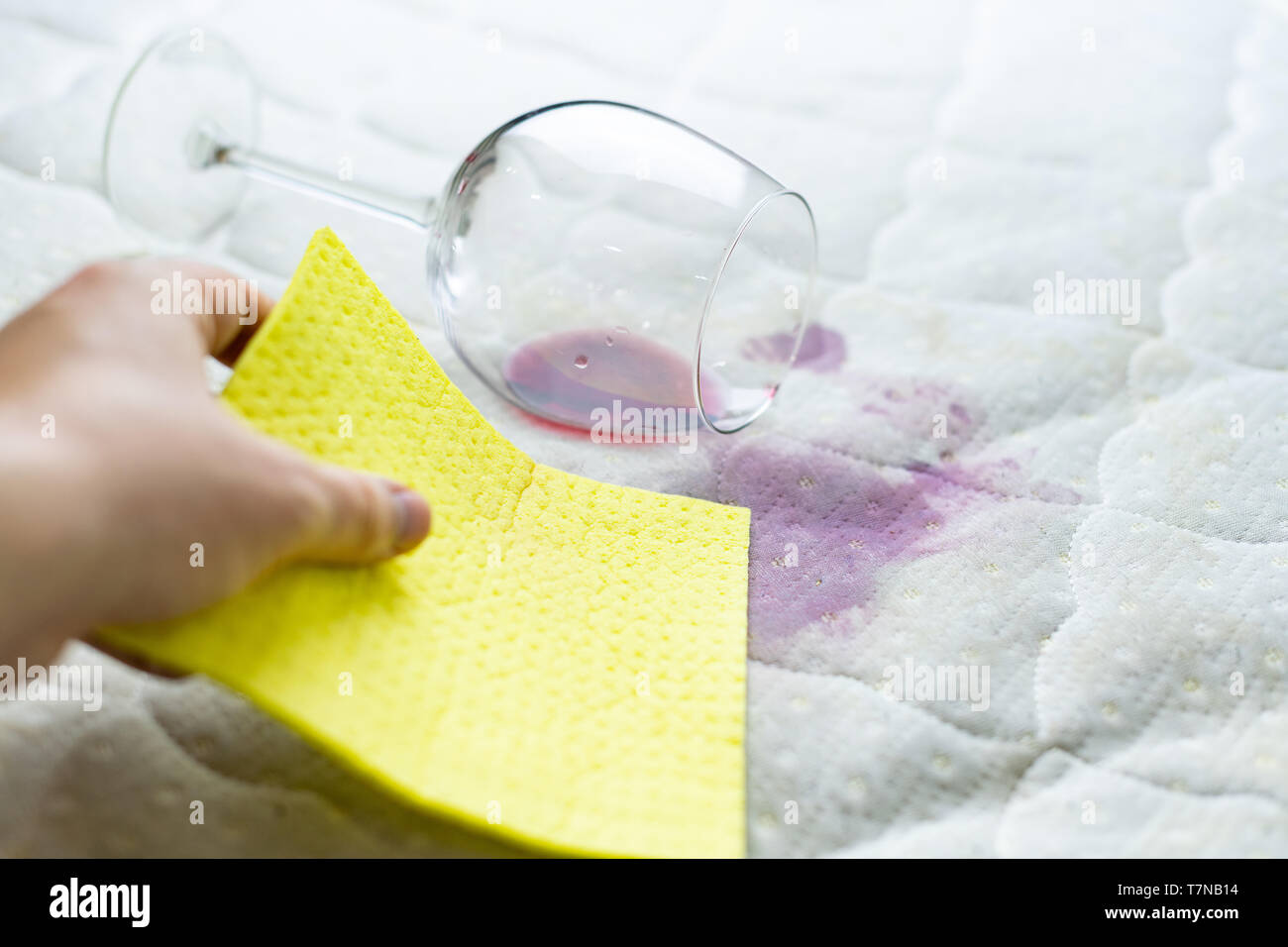 Sponge Cleaning Wine Stain Dropped Wineglass Spilled Wine On