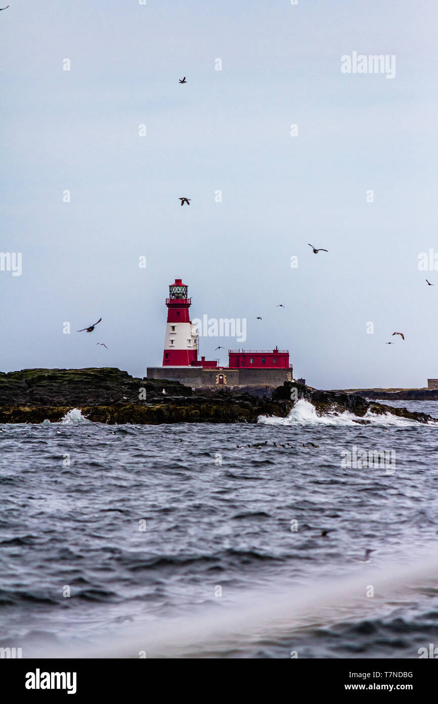 Longstone lighthouse, completed in 1826, once home to Grace Darling, and still active. Farne Islands, Northumberland, UK. May 2018. Stock Photo