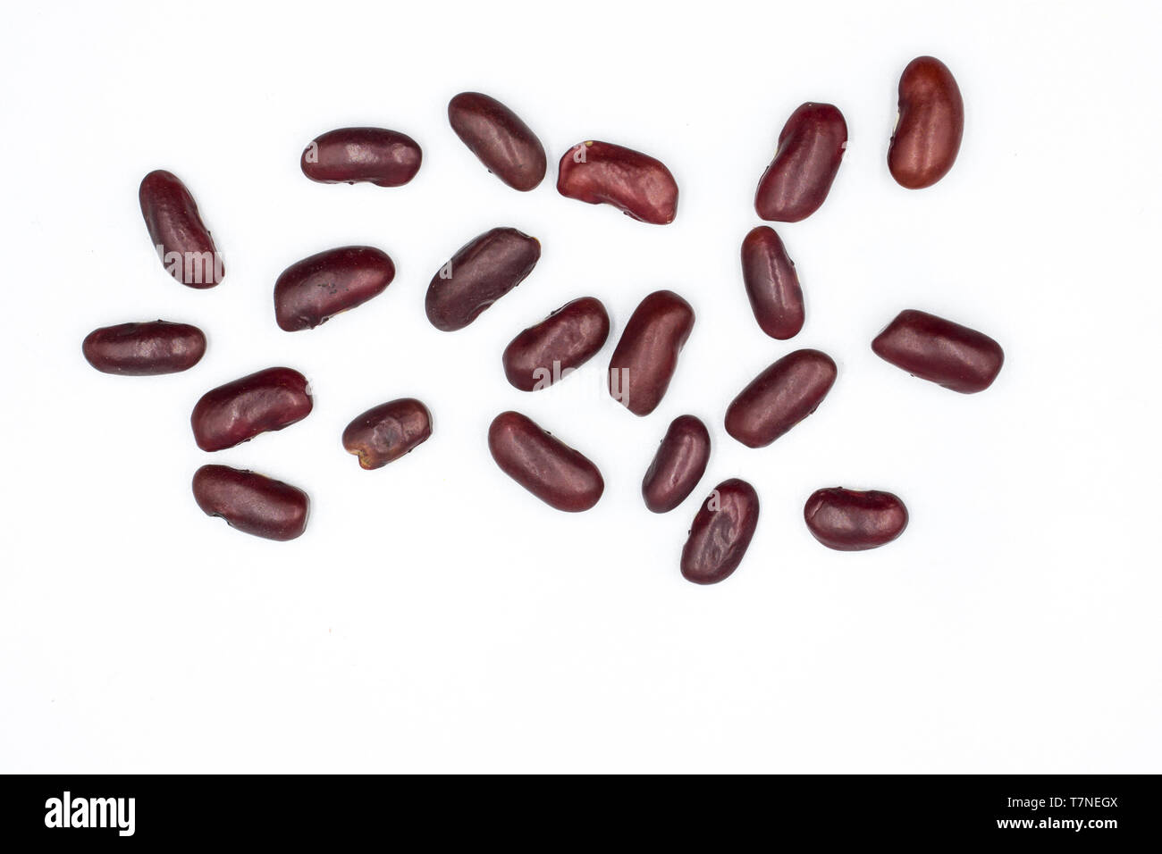 Red Beans Layout Close up Red beans background, Red beans seeds. High resolution image ...