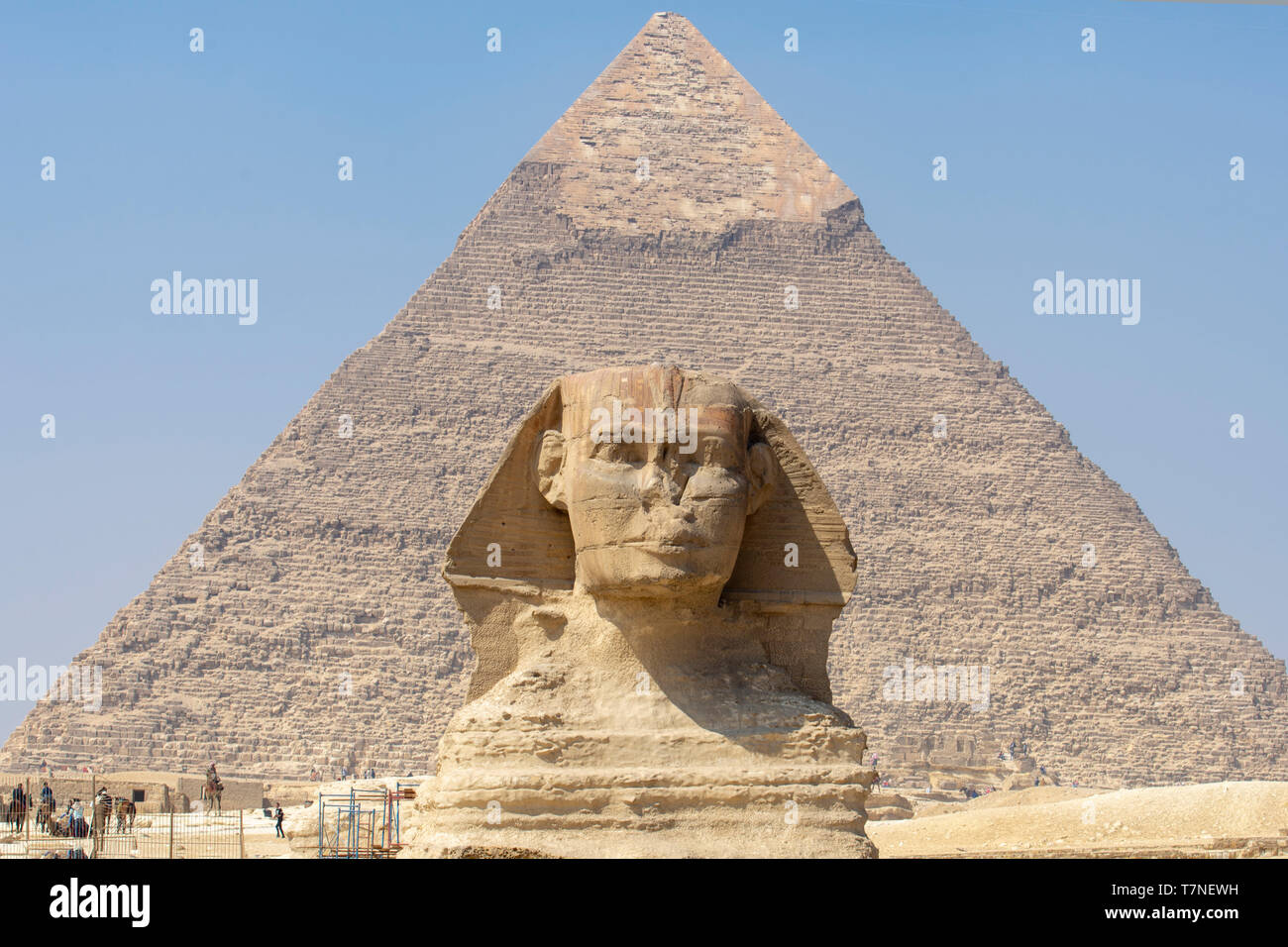 Pyramid and tomb of Pharaoh Khafra rises behind the Great Sphinx, in Giza, Egypt. Both are believed to have been created around 2500 BCE. Stock Photo