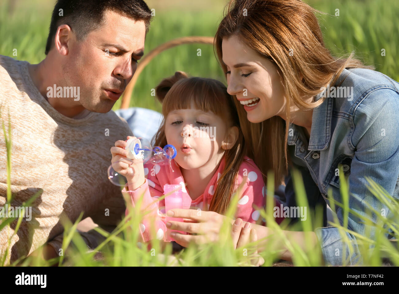 Happy family blowing soap bubbles in park Stock Photo - Alamy