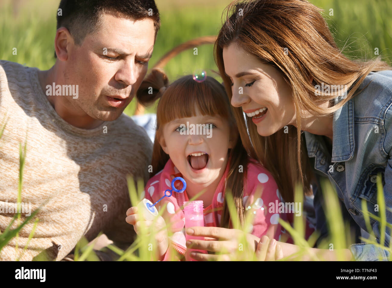 Happy family blowing soap bubbles in park Stock Photo - Alamy