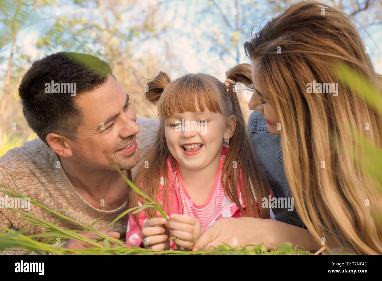 Happy family lying on green grass in park Stock Photo - Alamy
