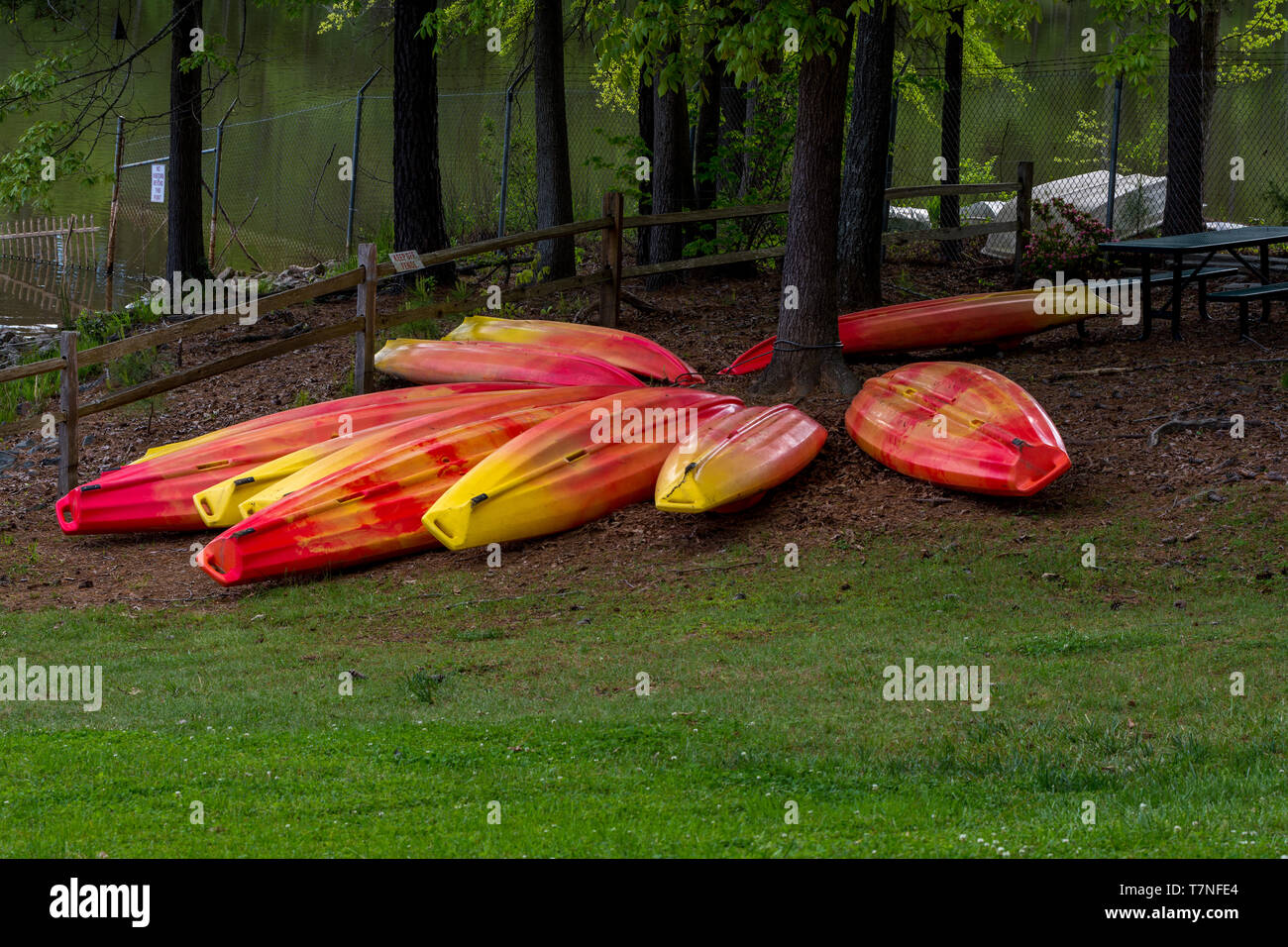 Orange and yellow kayaks stored upside down on grass with lake in the background Stock Photo