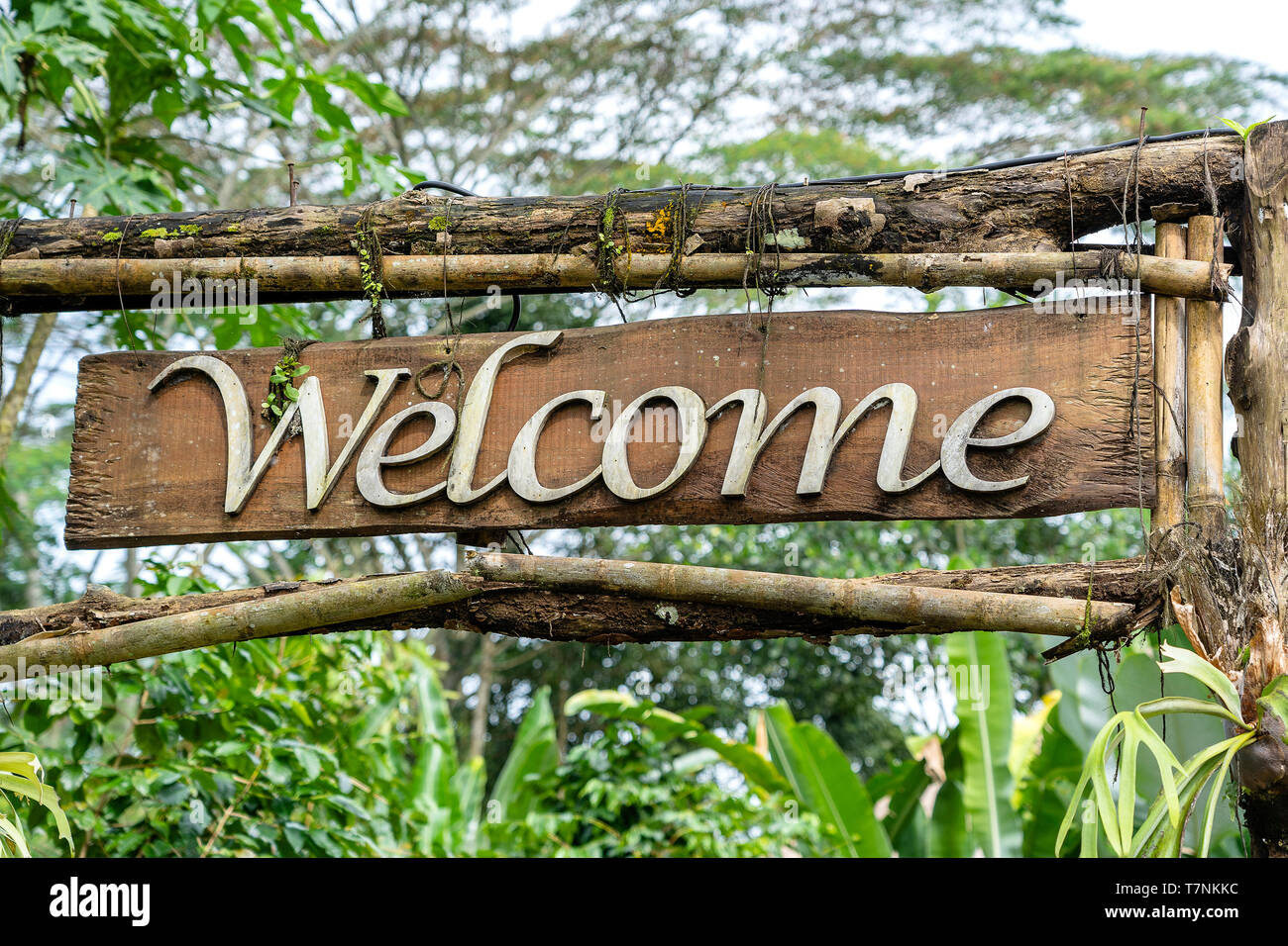 Text welcome on a wooden board in a rainforest jungle of tropical Bali