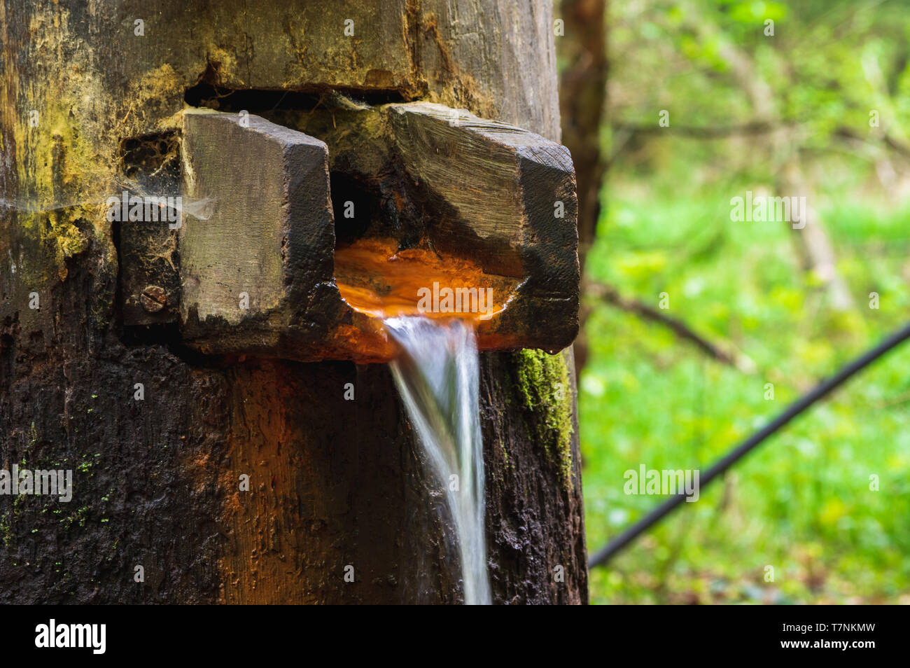 water outlet of hubertus spring near dolny mlyn, Jetrichovice, Czech Republic Stock Photo