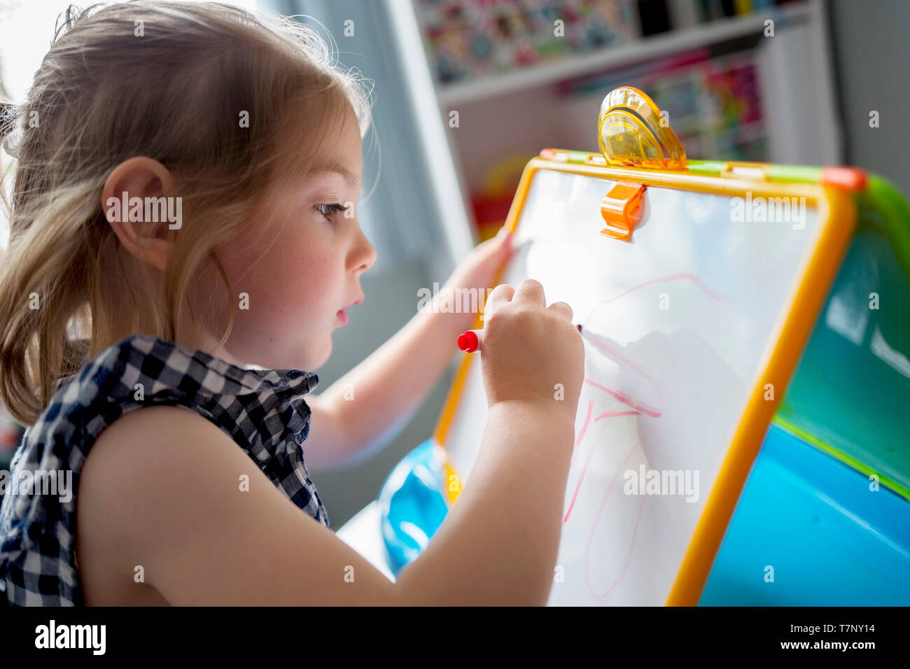 A four year old girl practices her handwriting on a whiteboard Stock Photo