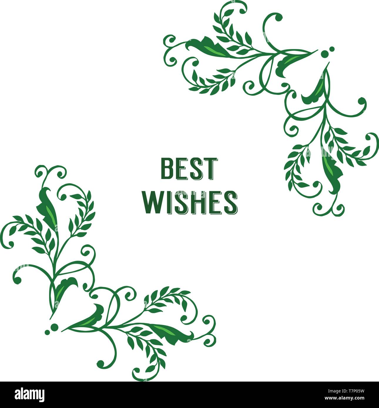 Vector illustration lettering best wishes with pattern art green leaf ...