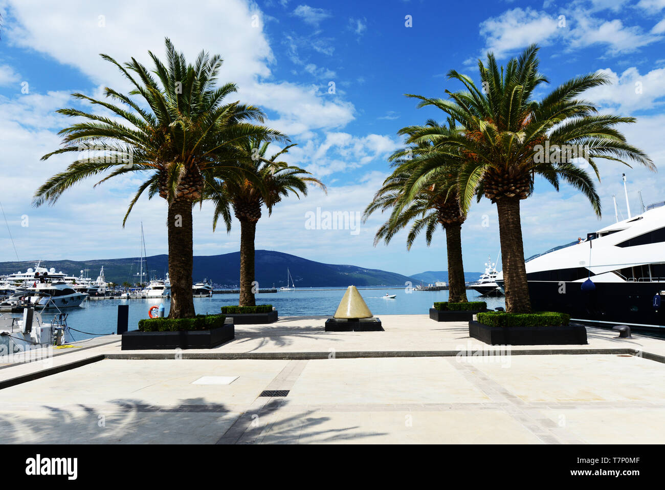 Porto Montenegro in Tivat Stock Photo Alamy