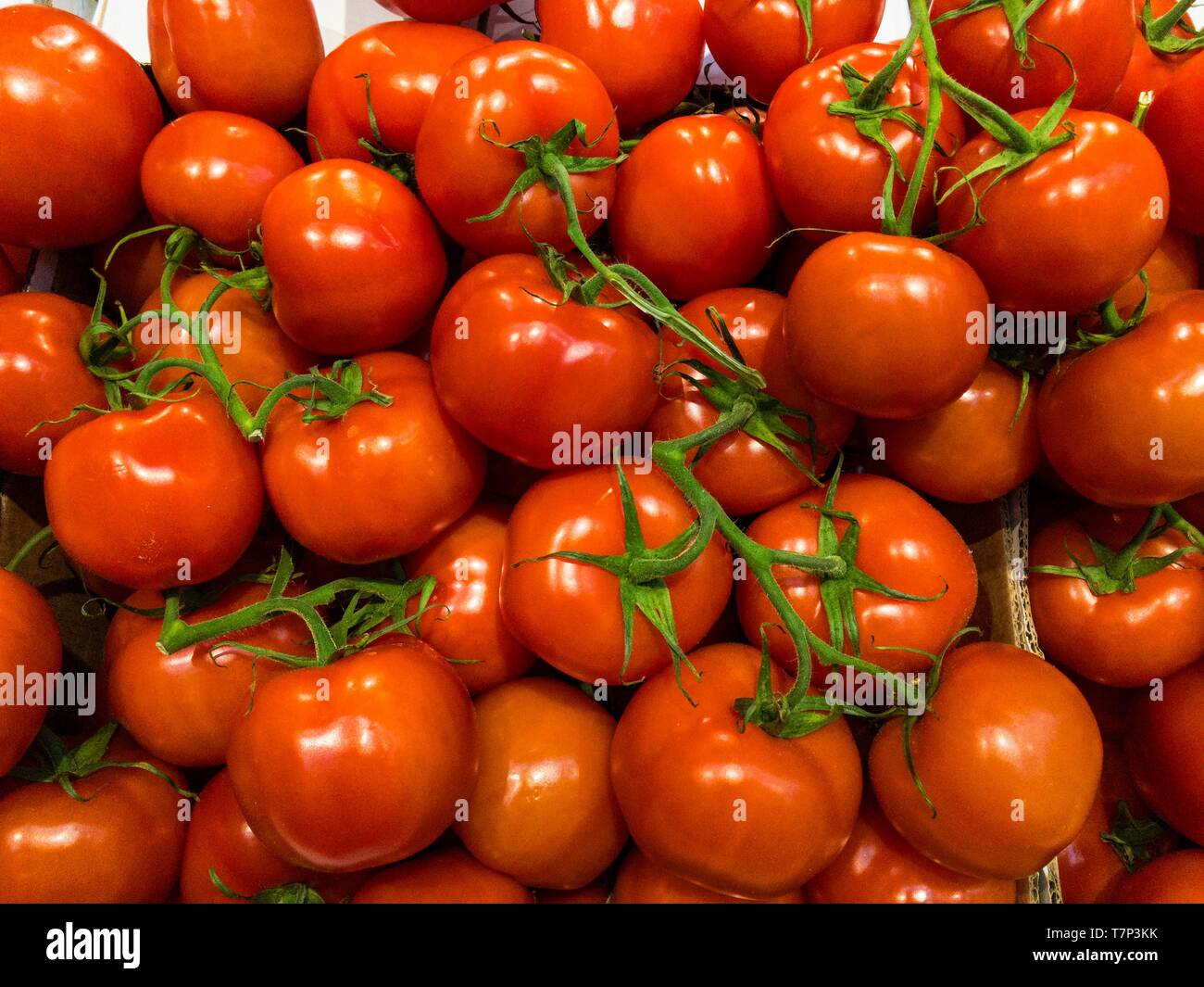 Tasty red tomatoes in the box on market Stock Photo - Alamy