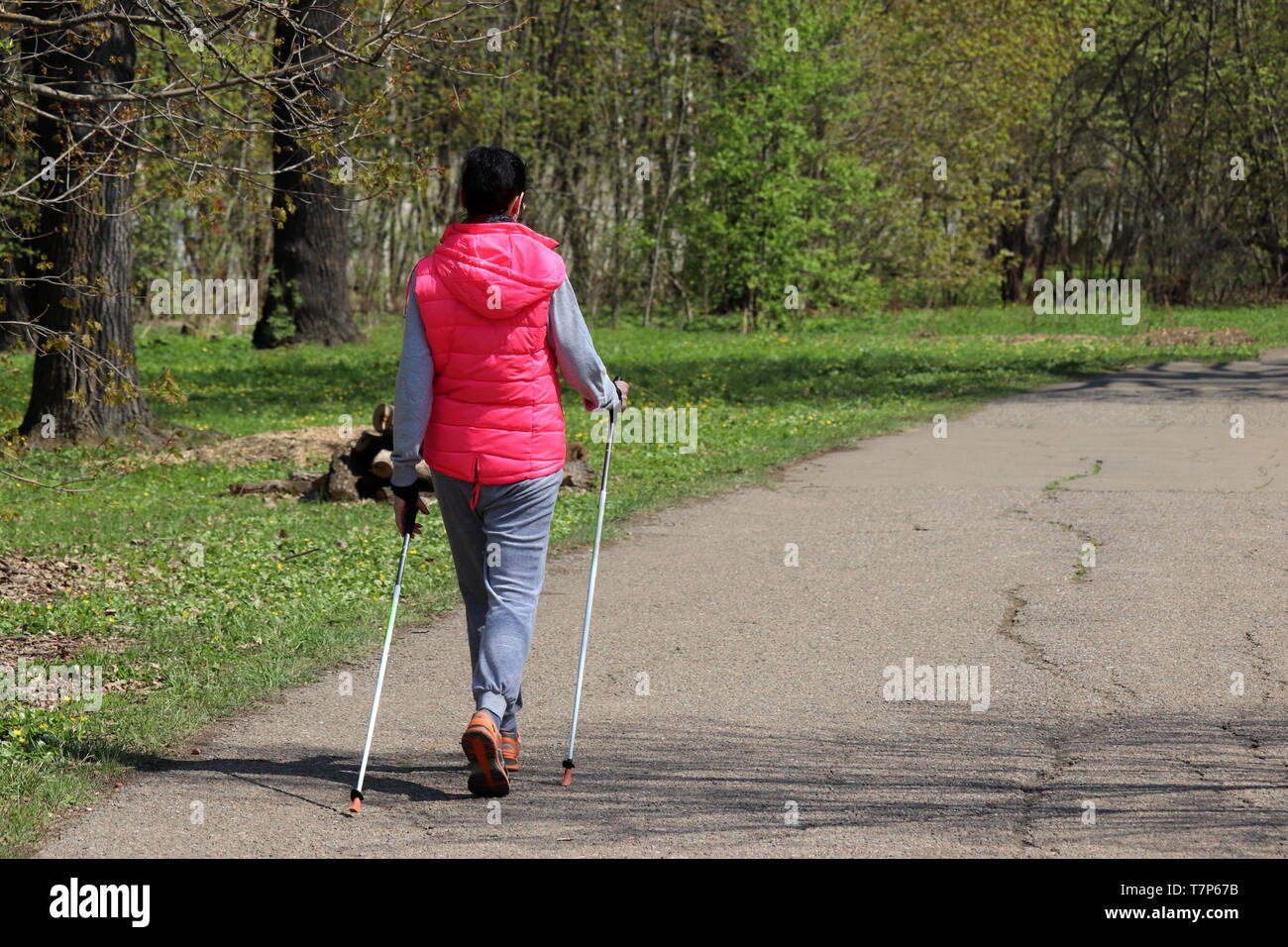 Nordic walking, therapy for health. Young woman walking with sticks in spring park, sports exercises for healthy spine and joints Stock Photo