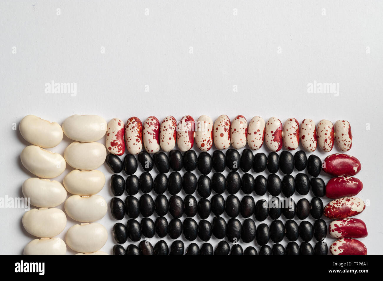 Geometric bean pattern. Multicolored Legumes Textures on white ...