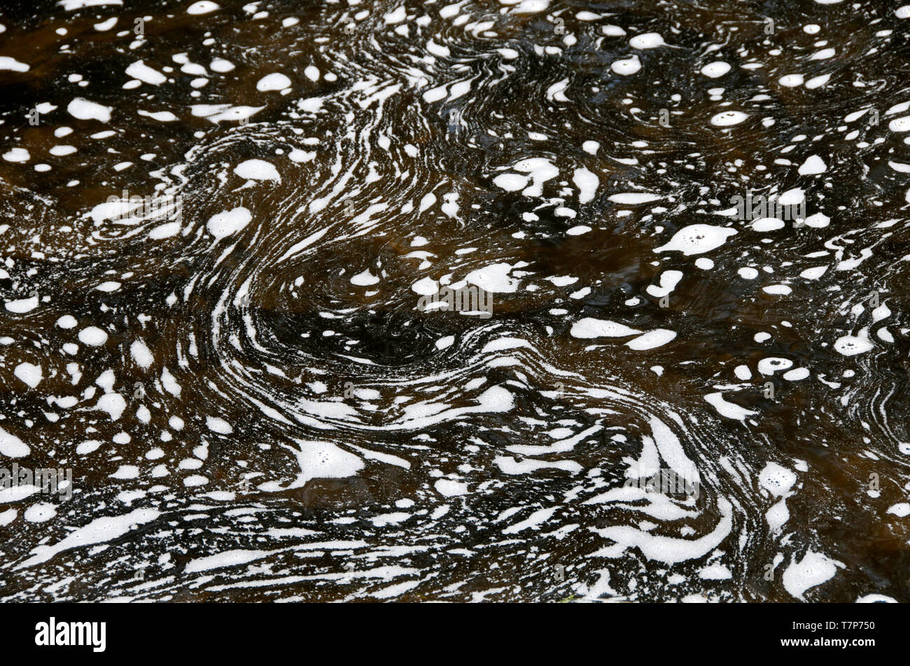 Water polluted by oil Stock Photo