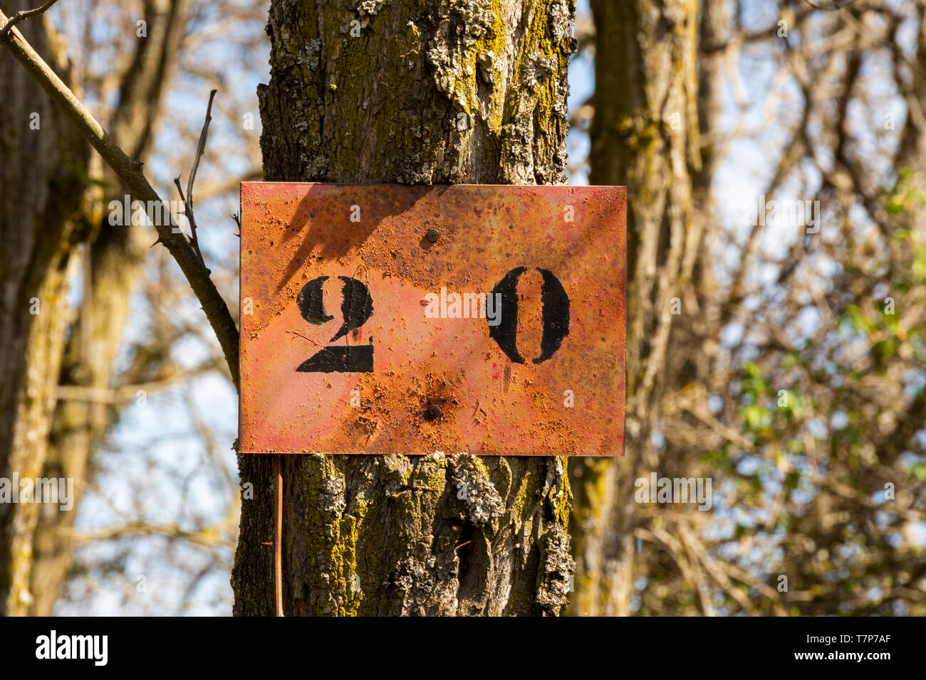 Number 20 on a rusty plate hanging on a tree trunk Stock Photo