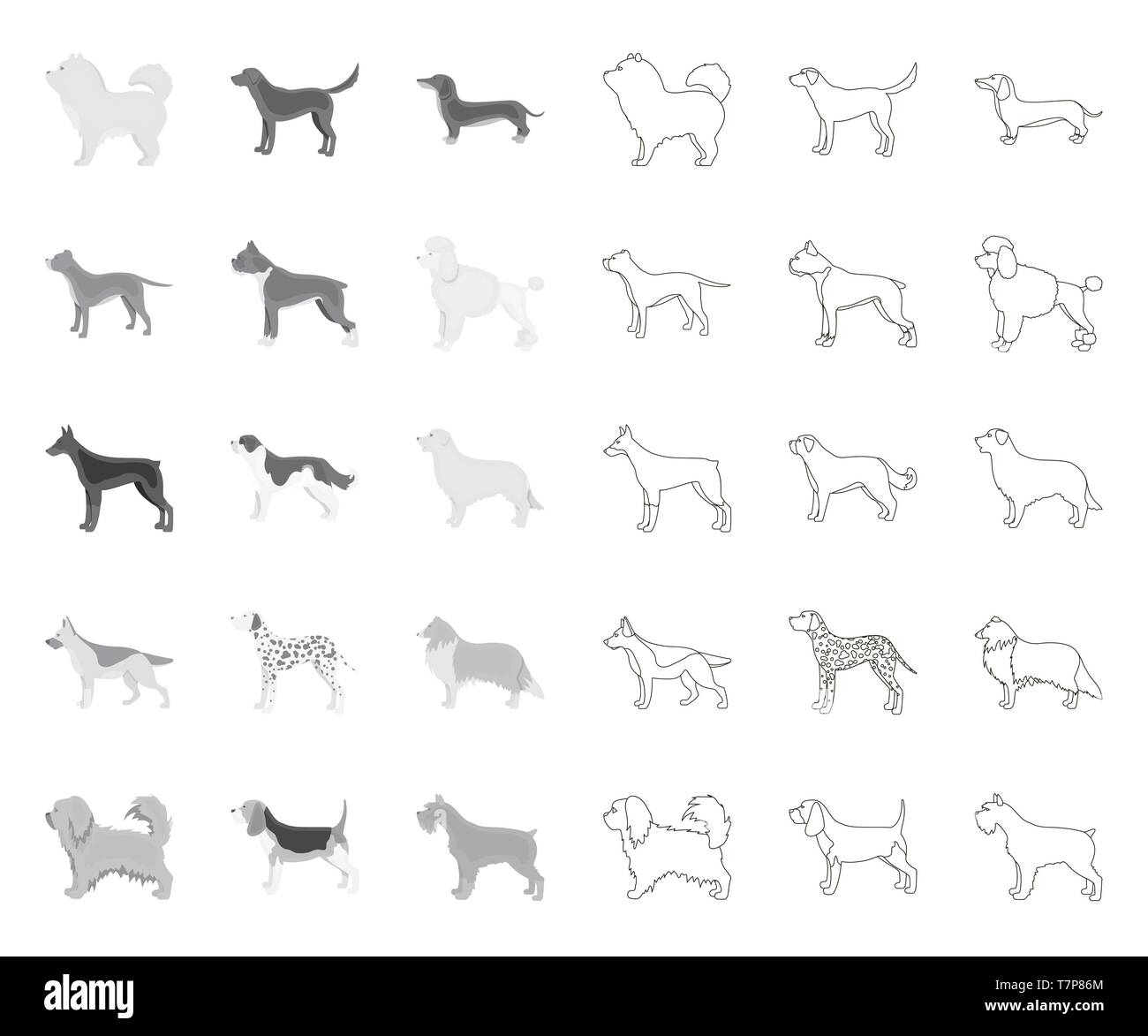 Dog breeds mono,outline icons in set collection for design.Dog pet vector symbol stock  illustration. Stock Vector