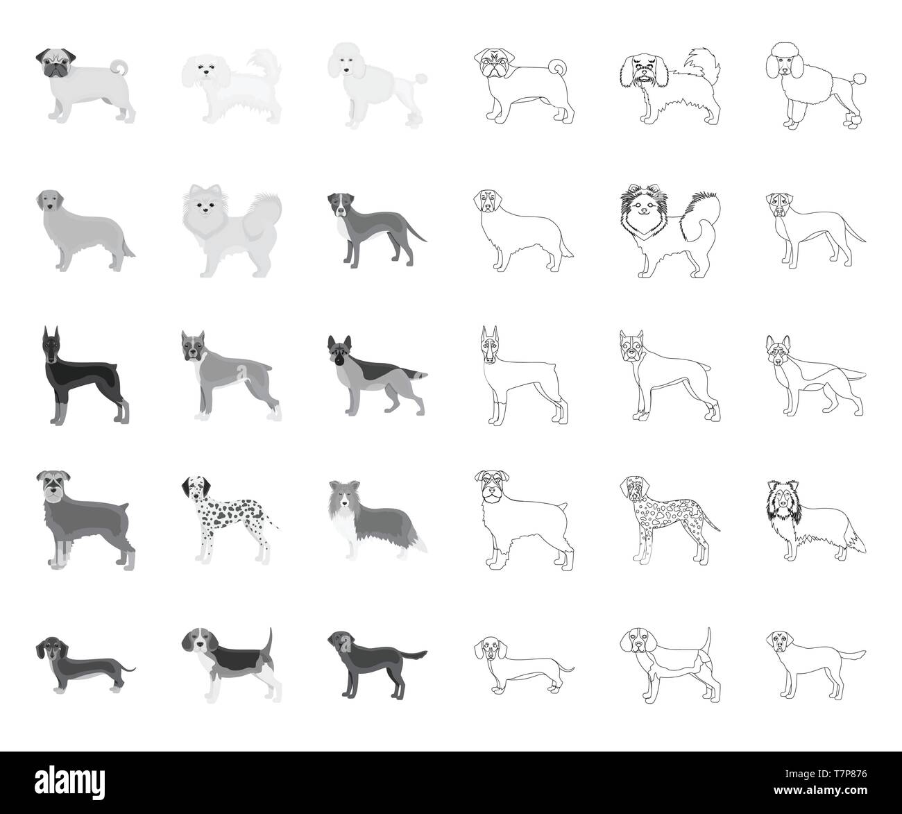 Dog breeds mono,outline icons in set collection for design.Dog pet vector symbol stock  illustration. Stock Vector