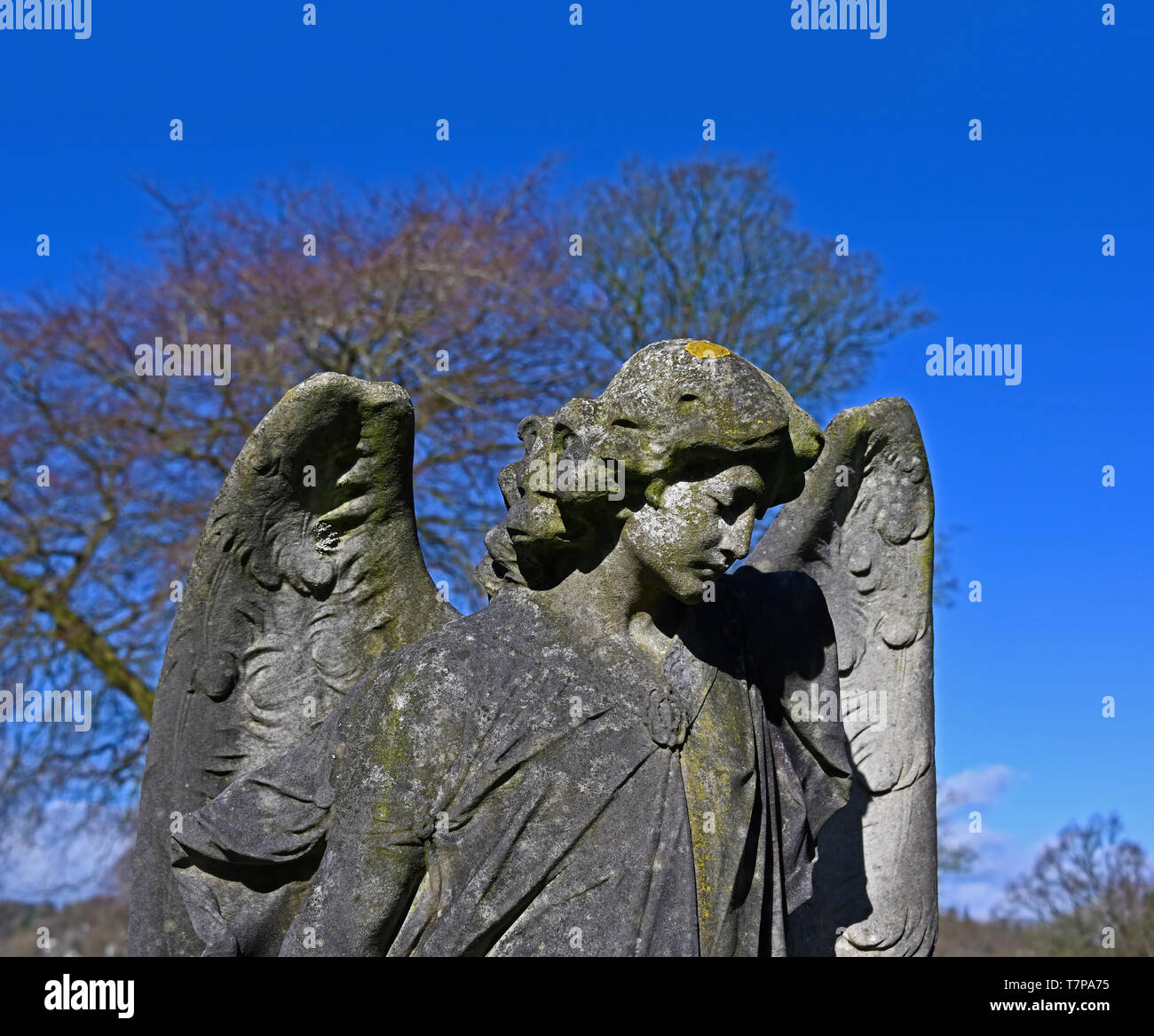 Grave with angel sculpture (detail). Kendal Cemetery, Parkside Road
